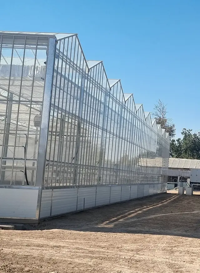 FPA's Venlo glasshouse in Karaj under a clear sky