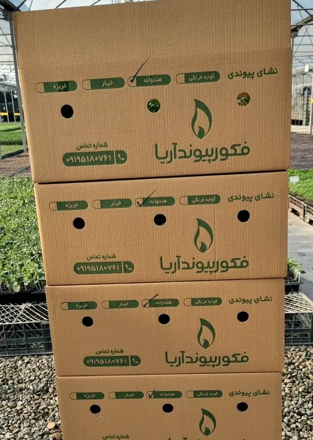 جعبه‌های نشای فکور پیوند آریا آماده‌ی ارسال